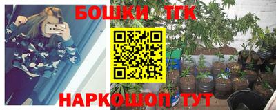 шишки Бузулук