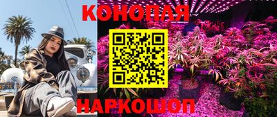 прущие грибы Бугуруслан
