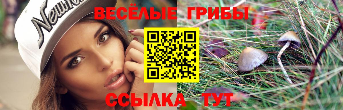 Сунжа  Галлюциногенные грибы ЛСД  где купить наркоту  Галлюциногенные грибы Psilocybe  Вход с VPN 